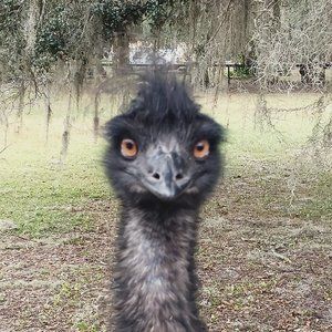 Meet your Posher, Finds by Julie